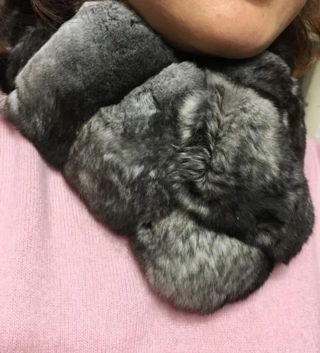 코트랑 친칠라 대박!!!!
