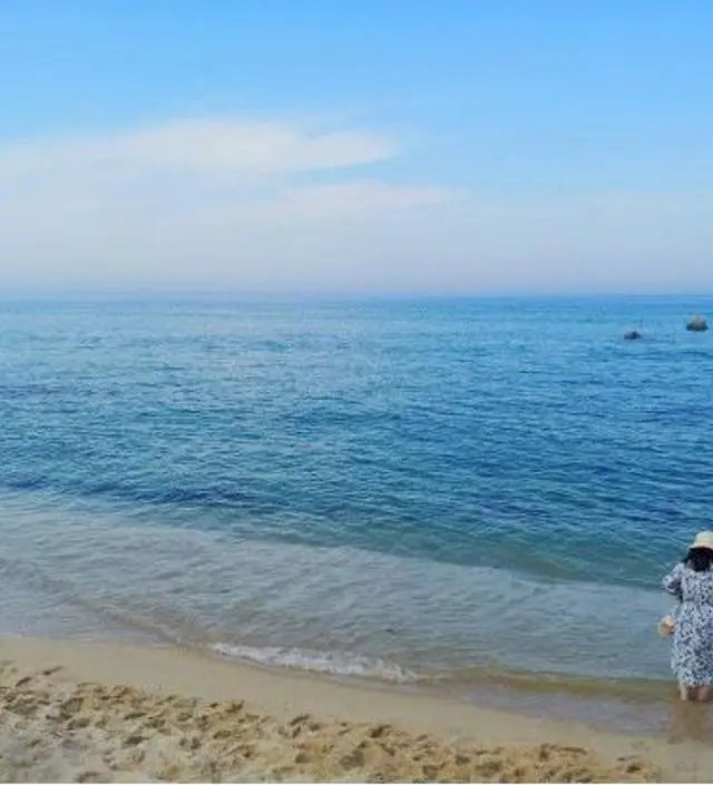 여행가서 너무 잘 입고 왔어요
