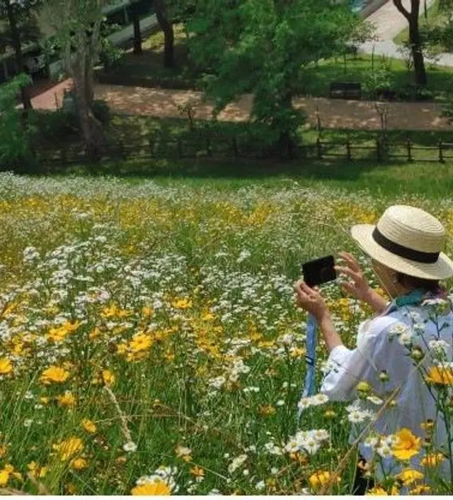 시원하고 핏 좋아요
