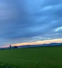 네이버페이에서 작성된 후기입니다.
