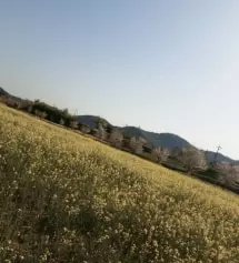 네이버페이에서 작성된 후기입니다.
