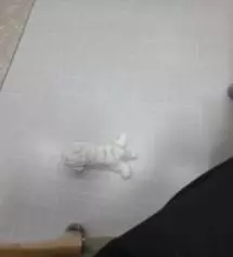 네이버페이에서 작성된 후기입니다.
