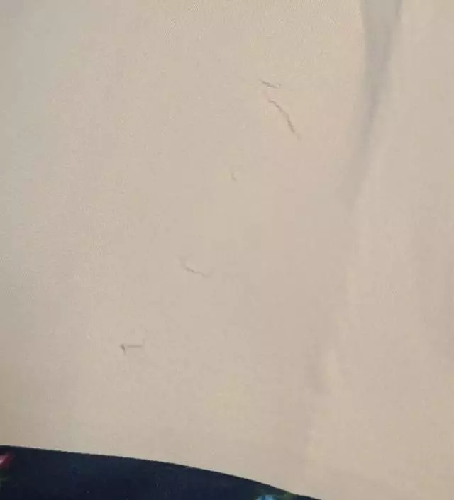 네이버페이에서 작성된 후기입니다.
