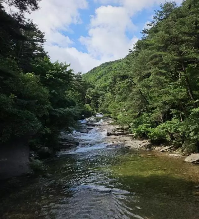 네이버페이에서 작성된 후기입니다.
