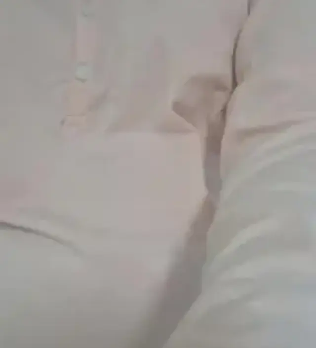 그린보다 핑크색 진짜 이뻐요! 마찬가지로 화면에 잘 안 담기는게 아쉽습니다~ 화면보다