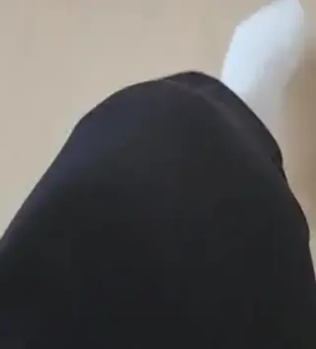 지난번에 먹색 샀는데 너무 좋아서 블랙이랑 매란지로 추가 구매했어요. 이번 것도 역시