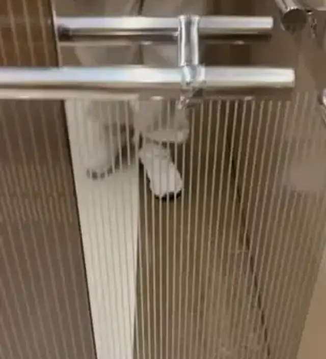 기장도 딱 맞고 아주 편하고 좋네요 ㅎ 배 부분도 편하고 발목도 고무줄 있지만 쫄리진