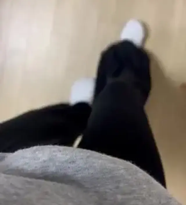 집에 있는 모든 추리닝과 잠옷이 불편해서 구매했는데 너무 편하고 소재도 부드럽고 좋