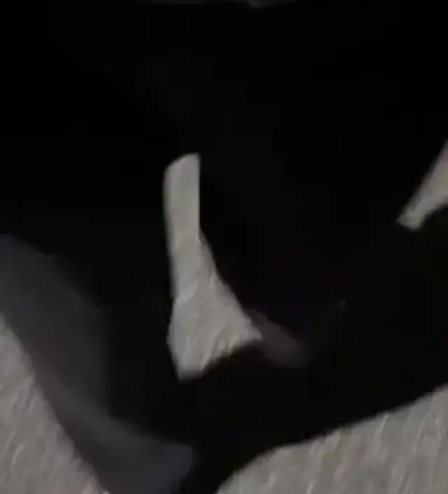 와 진짜 편하네요. 그런데 제일 윗 배 본 밴딩 부분은 조금 좁 있는 느낌이 드는 것 같