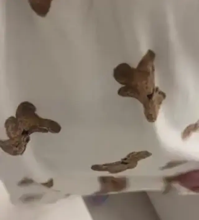 배부분이 안쫄리구 배를 잘 덮어줘서 넘 좋아요 
