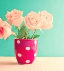 몸무게가 많이 나가서  과연 맞을까했는데 신축성 진짜 좋네요 배송도 빨라요ㅋ 아이보