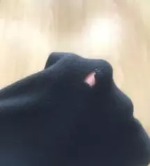 허벅지부분에 구멍이 똬악.....
