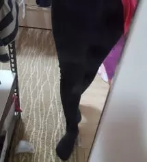 와우~ 둘째라 배가 유독 빨리 또 많이도 나오더라고요~ 근데 이 커다란 배를 완전히 덮