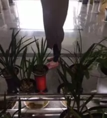 소문듣고 레깅스 주문했어요~ 키162/52 인데 키작맘에 맞네요ㅎㅎ 무릎접히는 부분도 없