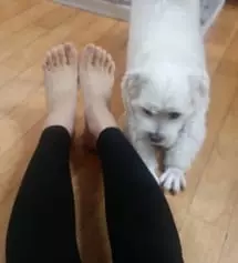 158/54에요 쫀쫀해서 좋으네요 ㅎㅎ 면이 좋아서 살짝 길긴한데 끌어올려서 입으면 될거