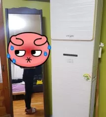 품은 아주 딱 맞아요.
