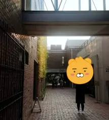 부드러운 느낌이 너무좋아요!!
