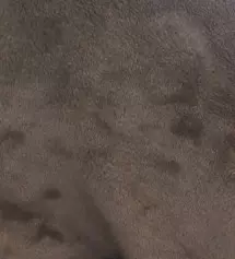 163/48인데 키작맘으로 구매했어요
