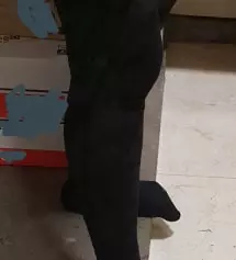 잘 맞아요.사이즈랑 재질 좋네요.지금 입기는 조금 앏아요.
