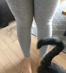 쫀득쫀득해요. 오동통한 스타일인데도 불편하지 않구요. 친구 추천으로 샀는데 정말 저