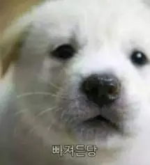 친한언니 선물로 줬습니다
