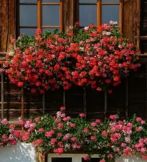 네이버페이에서 작성된 후기입니다.
