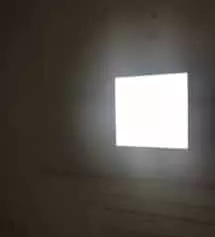 네이버페이에서 작성된 후기입니다.
