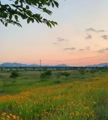 네이버페이에서 작성된 후기입니다.
