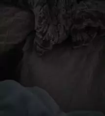 네이버페이에서 작성된 후기입니다.
