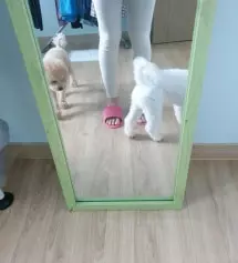 맘에 들어요 착용감도 좋고 색감도 좋고 길이도 좋아요~~ 160 키작맘선택했는데 짧지않