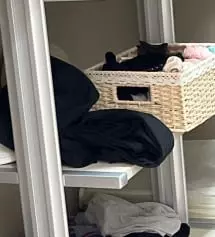 네이버페이에서 작성된 후기입니다.
