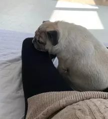 편하고 잘 늘어나요! 근데
