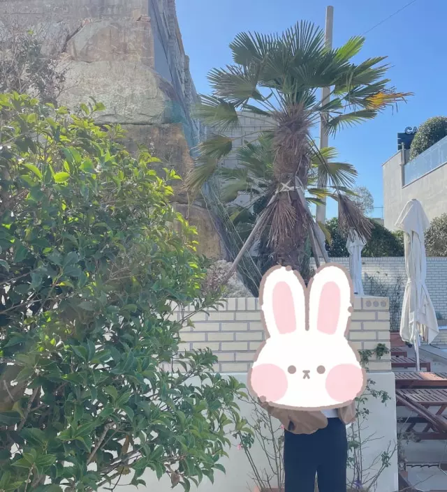 다리 길어보이고 편하고 좋아요! 한겨울엔 못입겠지만 기모도 있어서 넘 따뜻하고 좋네