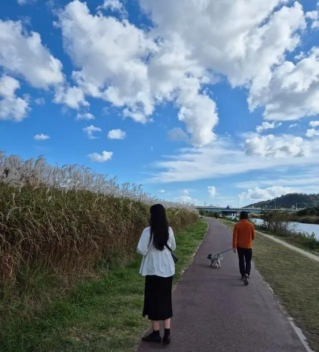 네이버페이에서 작성된 후기입니다.
