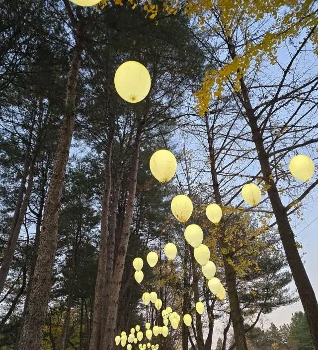 네이버페이에서 작성된 후기입니다.
