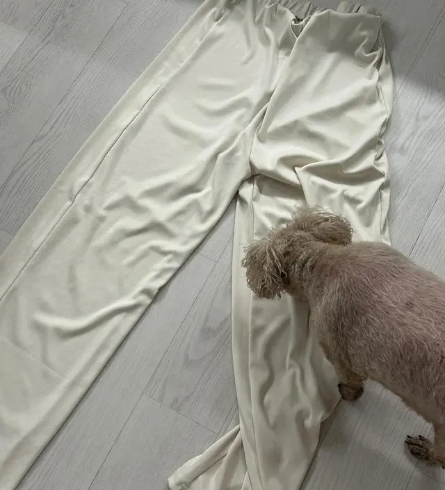 우리 강아지도 탐내하는(?) 바지
