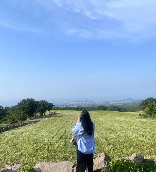 네이버페이에서 작성된 후기입니다.
