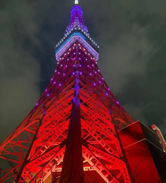 네이버페이에서 작성된 후기입니다.
