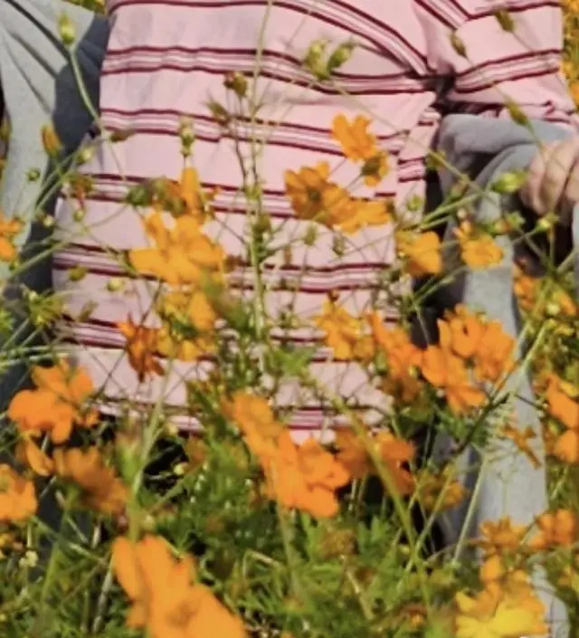 핑크 칼라가 생각보다 예쁘고,현재  배가 많이 나왔는데 핏이 넉넉해서 자주 입을수있어