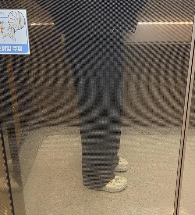 와 임부복 바지 처음사서 입었는데 세상 편하네요! 이래서 다들 임부복을 사는구나...싶