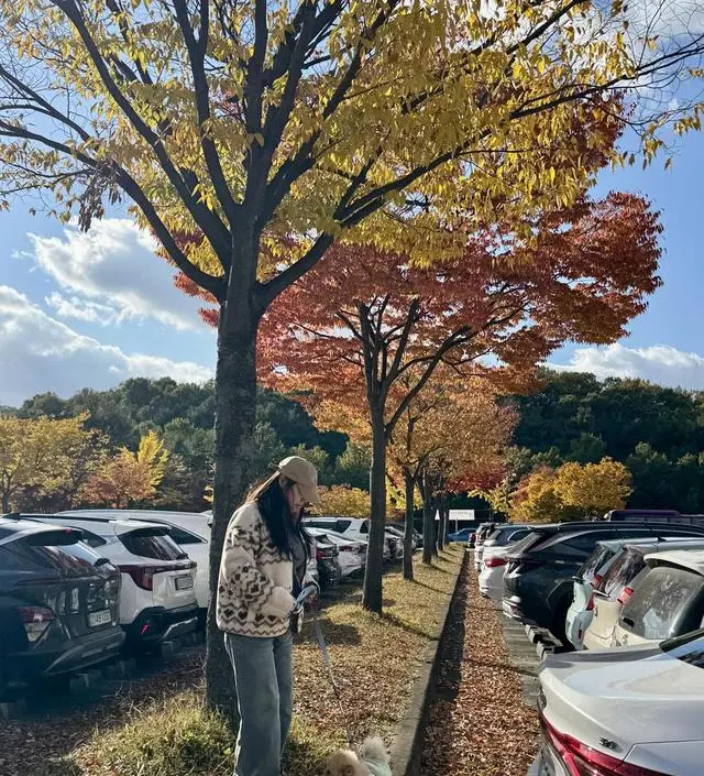 156cm 키 기준으로 숏기장이 수선없이 딱 좋은 길이감이에여ㅎㅎㅎ지금 23주차인데 배조