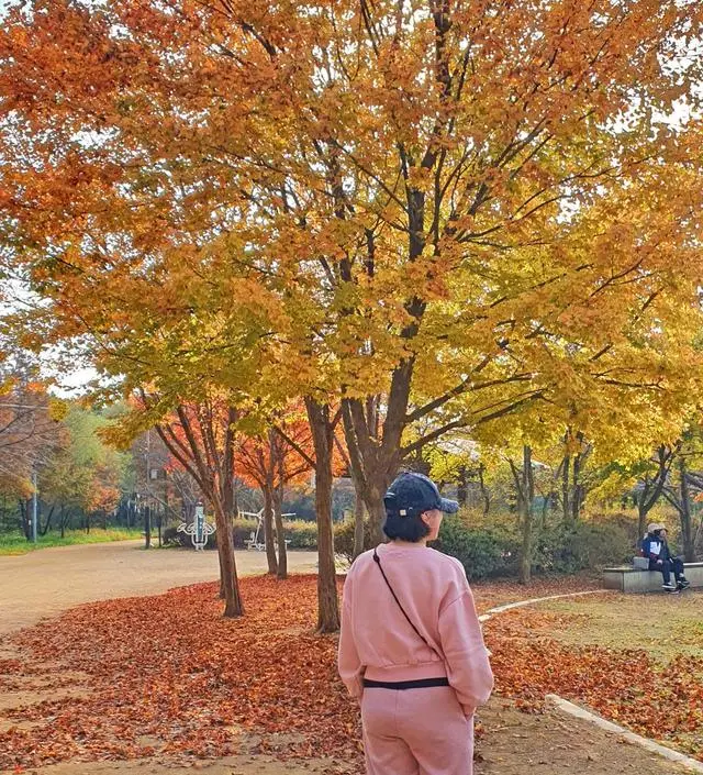 25주에 접어들면서 배도 많이 나오고 날도 쌀쌀해져서 소임에서 겨울 바지만 종류별로 