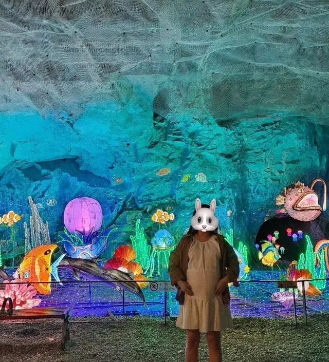 네이버페이에서 작성된 후기입니다.
