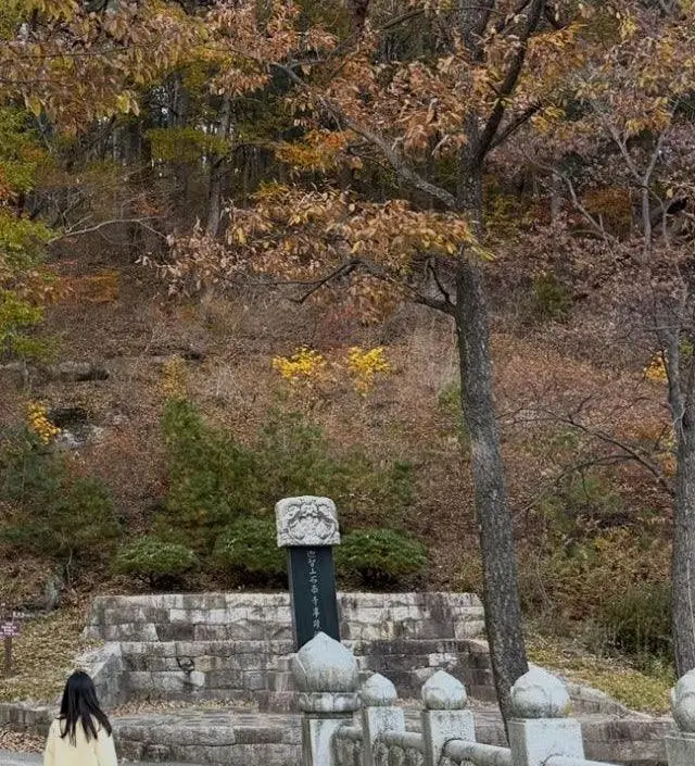 네이버페이에서 작성된 후기입니다.
