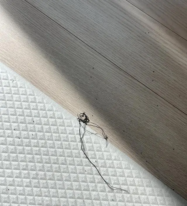 장난하시나요? 수유복이라면서 퀄리티 왜 이러나요? 처음 받을때부터 검정색 옷 실밥들