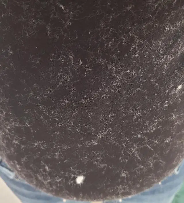 소임에서 산 바지랑 원피스는 진짜 좋았거든요ㅜ 인생 바지 됐는데... 그거 믿고 티셔츠