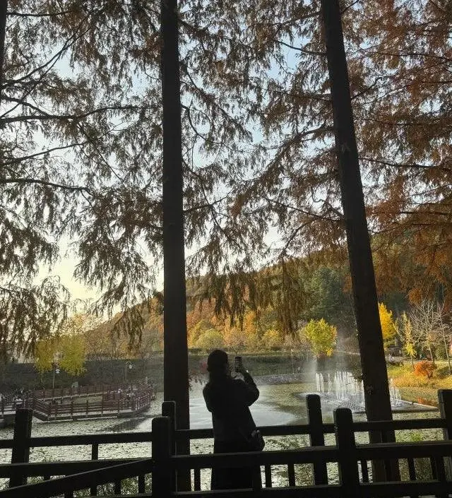 네이버페이에서 작성된 후기입니다.
